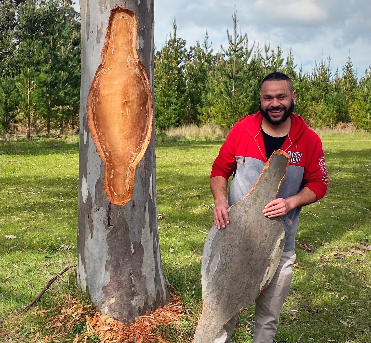 Petiola Wilson holding a sheet of bark harvested from a river red gum on Country